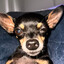 he