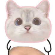 云想衣裳花想容