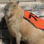 ⭕⃤혼 KazzWitz 녕⭕⃤