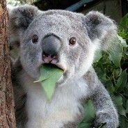 包包包包包包包包包包包包包包包包包包纸锅