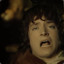 Frodo Faggins