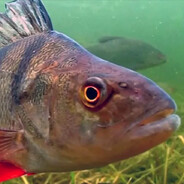 [SS] OkYnYaRa_JaReNiY