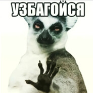 v svarke KiberPapa