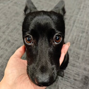 超级无敌牛批的狙击王