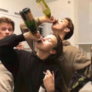 翻斗花园胡图图