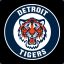 DetroitRhino