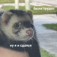 ruseeq