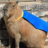 pan capybara CS2-CASES.COM