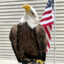 [Mr]Eagle