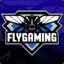 flygaming//Lanchers