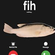 TeamG | Fih