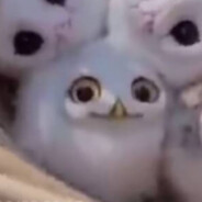 网络阔少（围棋