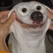 Похититель птс