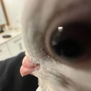 xʍʍx
