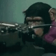 monkey that codes item asylum