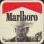 Mr. Marlboro