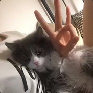 我玩恩静你玩劫