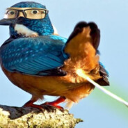 鸟不拉屎·屎啦bird