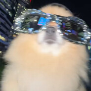 Любитель Дрочить