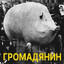 ГРОМАДЯНИН