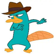 perry the platypus