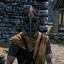 Whiterun Guard