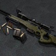 木瓜团队256600836