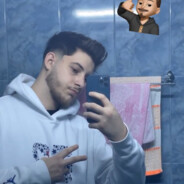 fane