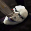 Jester