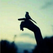 今天真是辛苦啦