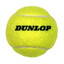 Fuzzy Dunlop