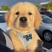 嫖娼被抓第一人