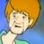 Shaggy