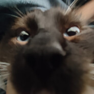 酸菜瑜爱痒痒肉