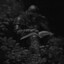 P1saklo_Monta