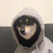 意难平也是平灬