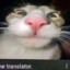 Tomko