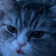 #Кысамурыса