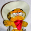 cowboy garfield