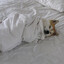 tucked in