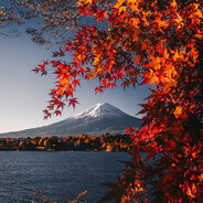 莫听穿林打叶声