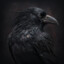 Huginn