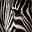 Zebranal