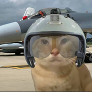 仿生羊会梦到电子草坪