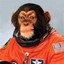 [null] Space Monkey