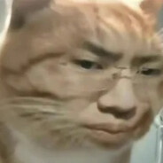 我自踏雪至山巅