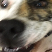 Definitely not your Grandma