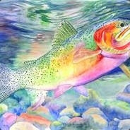 Rainbow_Trout_