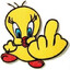 LANZA P´ PIOLIN