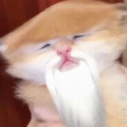 Kappa's avatar